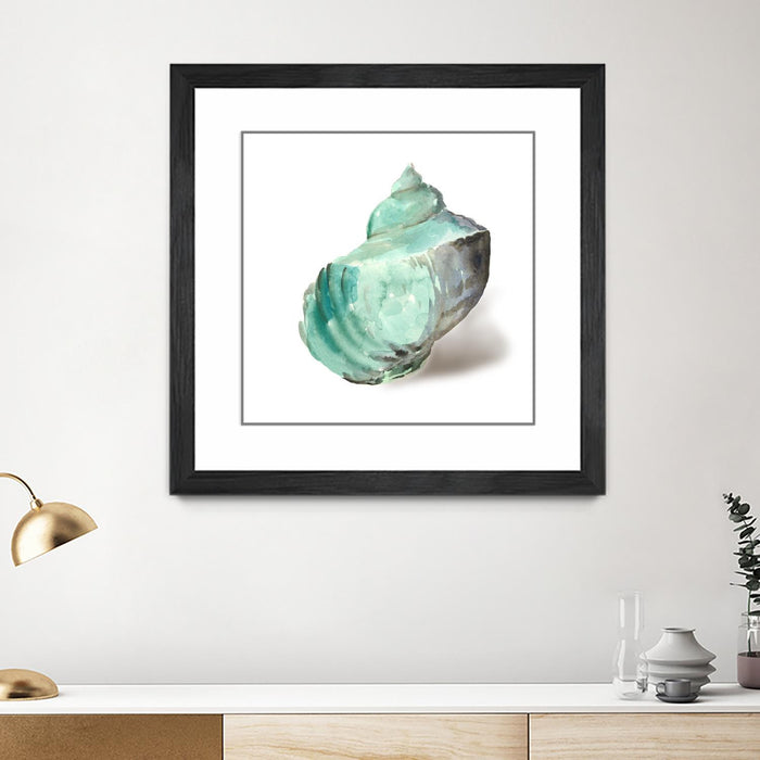 Œuvre d’art murale encadrée noire et mate « Shell In Mint » 36 x 36