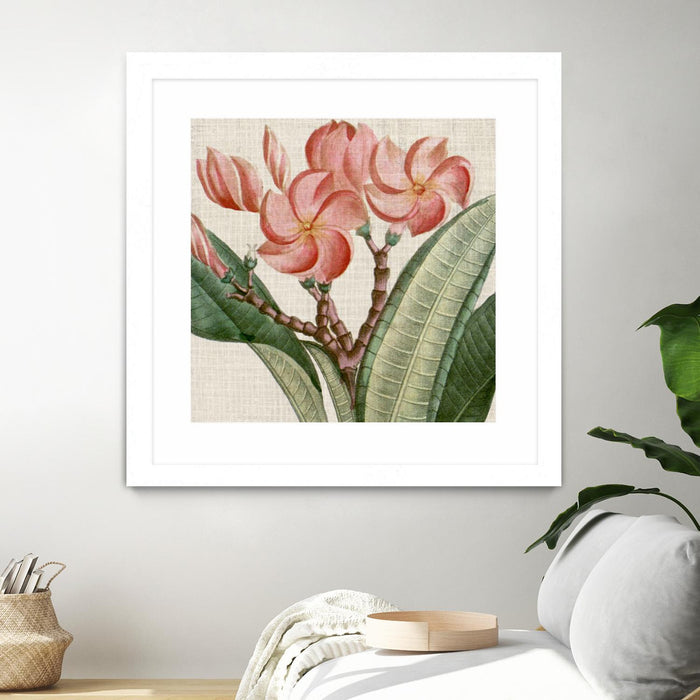 Œuvre d’art murale encadrée blanche et mate « Cropped Turpin Tropicals Vii » 30 x 30