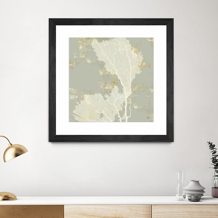 Œuvre d’art murale encadrée noire et mate « Sea Coral Ii » 36 x 36