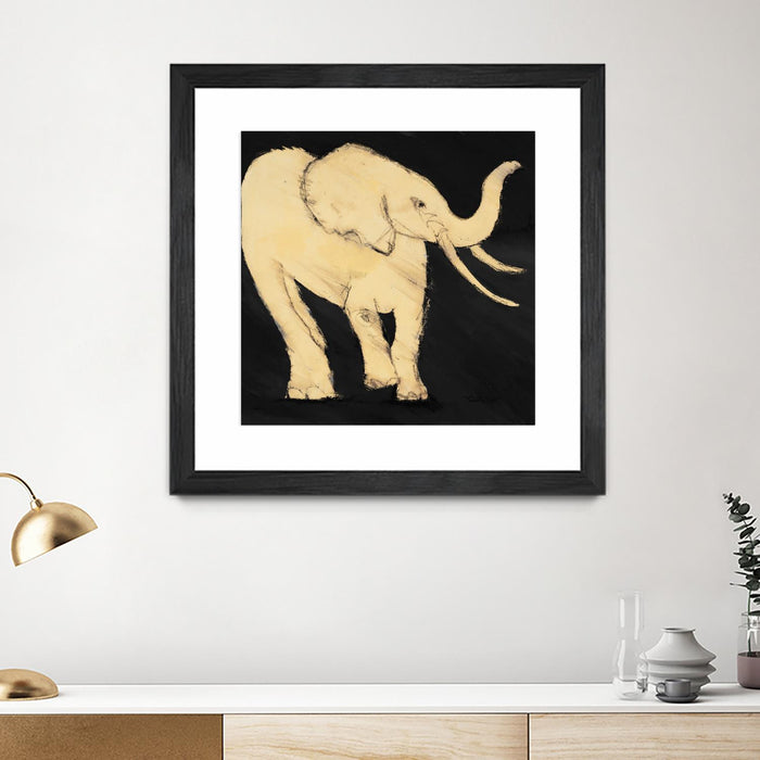 Œuvre d’art murale encadrée noire et mate « Baby Elephant » 36 x 36