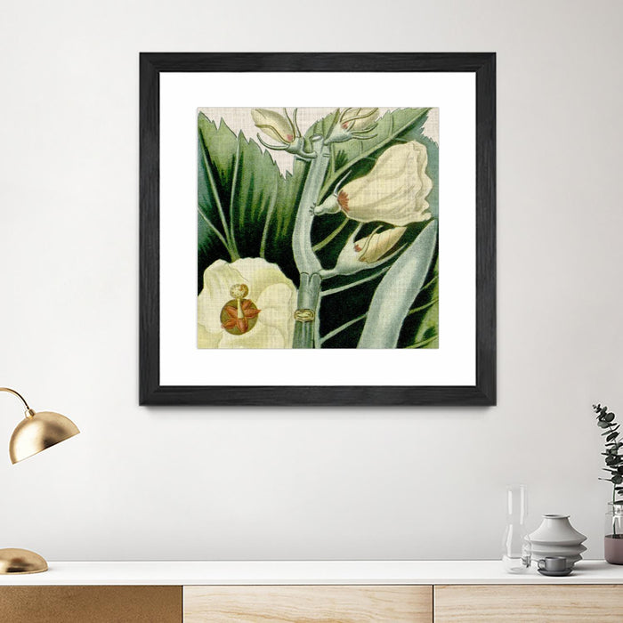 Œuvre d’art murale encadrée noire et mate « Cropped Turpin Tropicals Iii » 36 x 36