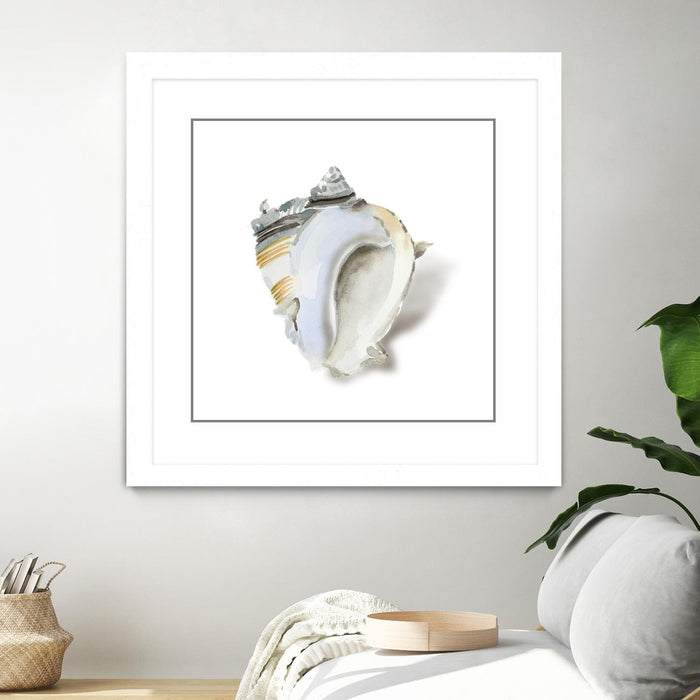Œuvre d’art murale encadrée blanche et mate « Seafoam Shell » 36 x 36