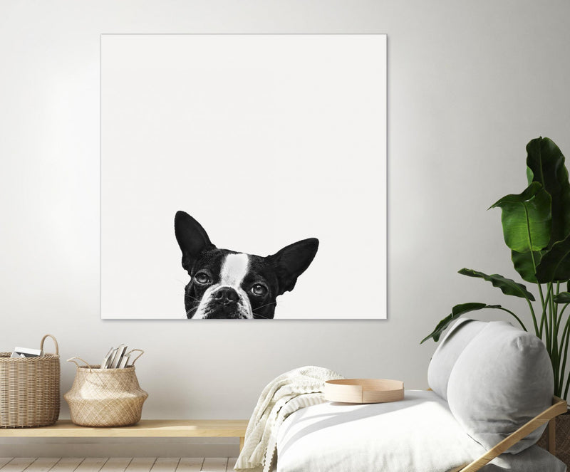 Œuvre d’art murale Giant Art « Loyalty » 54 x 54