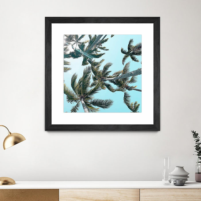 Œuvre d’art murale encadrée noire et mate « Palm 03 » 36 x 36