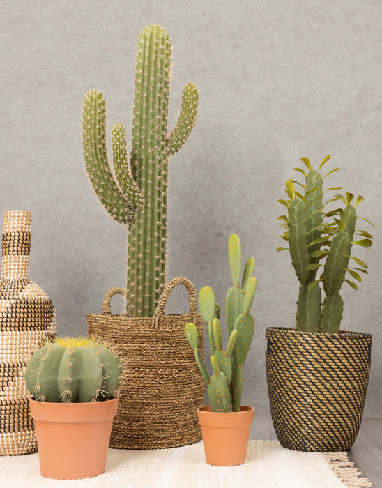 Cactus candélabre artificiel de 25 po en pot terracotta