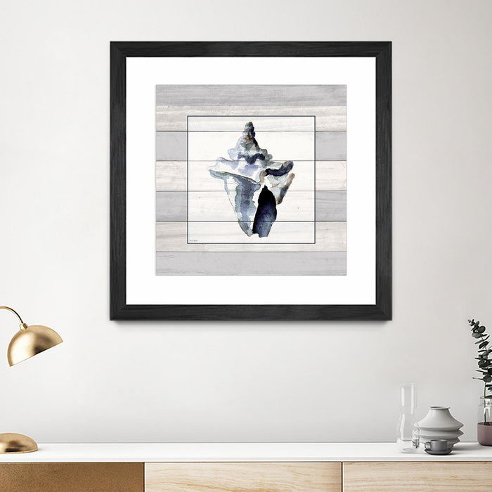 Œuvre d’art murale encadrée noire et mate « Muted Blue Sea Conch On Wood » 36 x 36