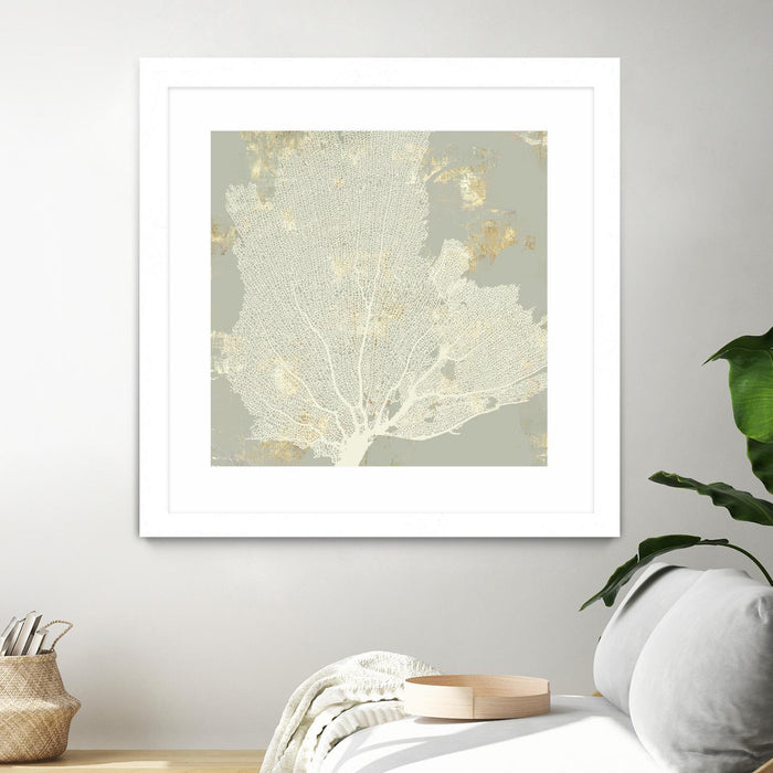 Œuvre d’art murale encadrée blanche et mate « Sea Coral I » 30 x 30