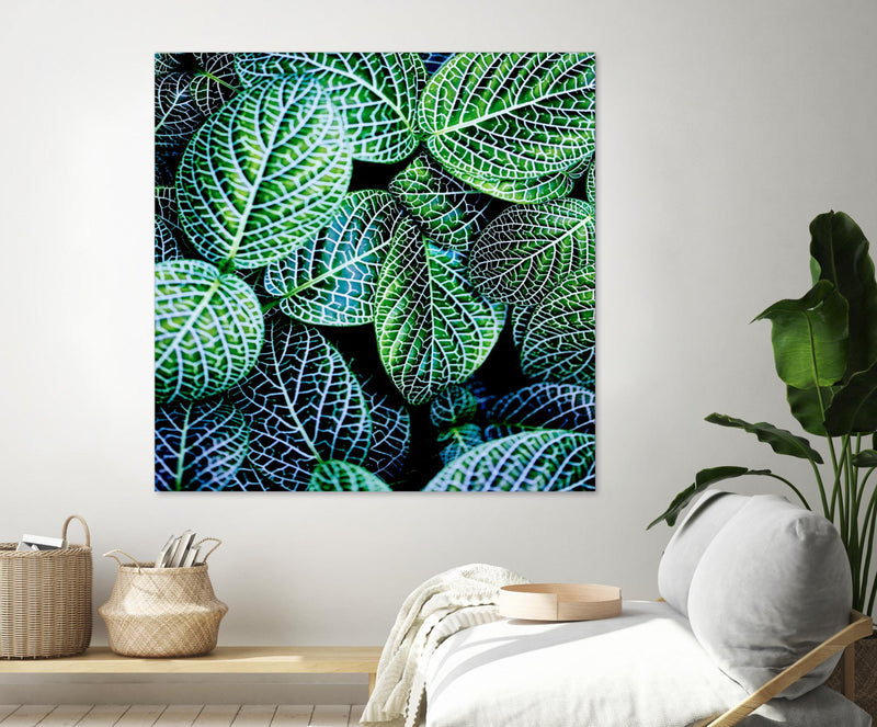 Œuvre d’art murale Giant Art « Leaf Viii » 54 x 54