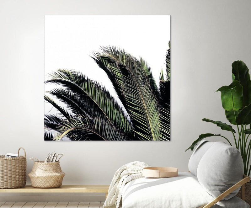 Œuvre d’art murale Giant Art « Cape Storm » 54 x 54