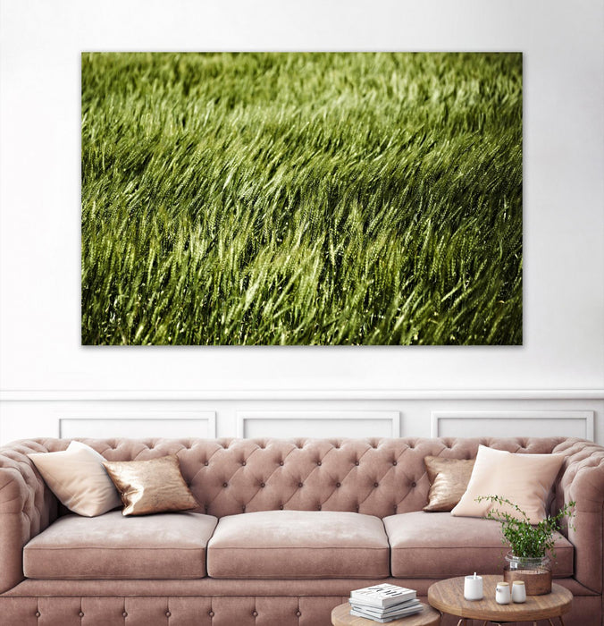 Œuvre d’art murale Giant Art « Grass Ii » 84 x 54