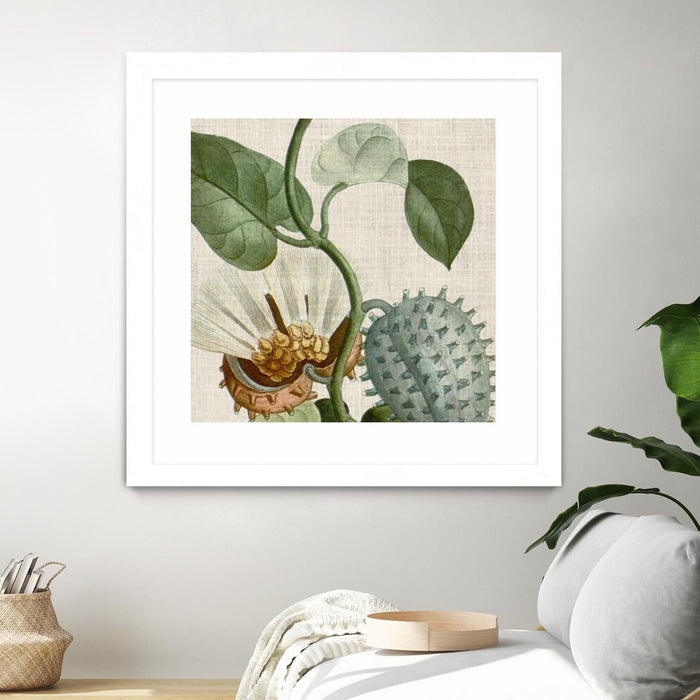 Œuvre d’art murale encadrée blanche et mate « Cropped Turpin Tropicals Ii » 36 x 36