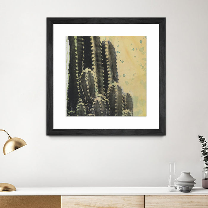 Œuvre d’art murale encadrée noire et mate « Desert Dreams Iv » 30 x 30