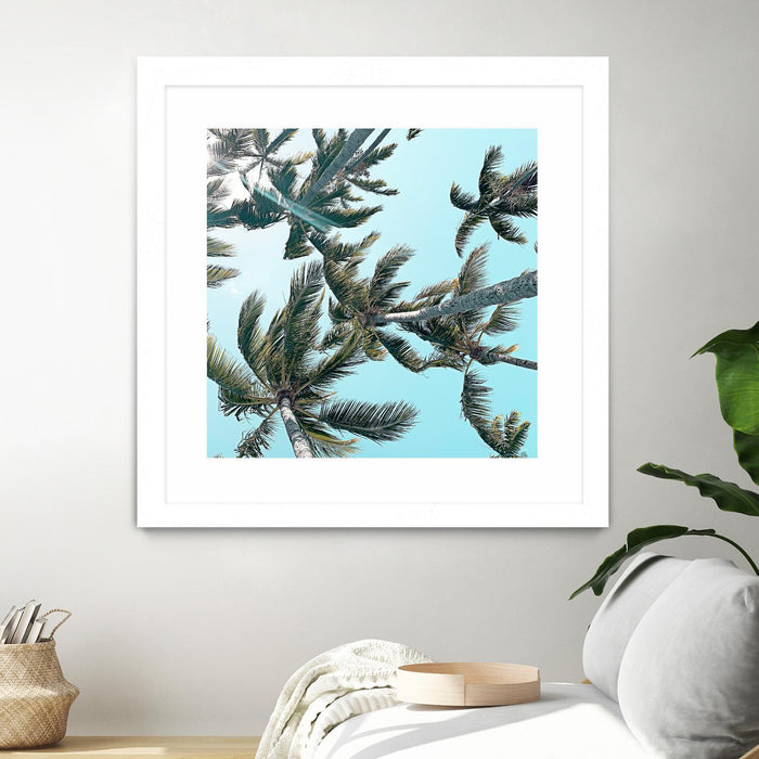Œuvre d’art murale encadrée blanche et mate « Palm 03 » 36 x 36
