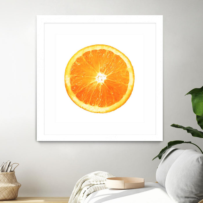 Œuvre d’art murale encadrée blanche et mate « Citrus Cultivar » 30 x 30