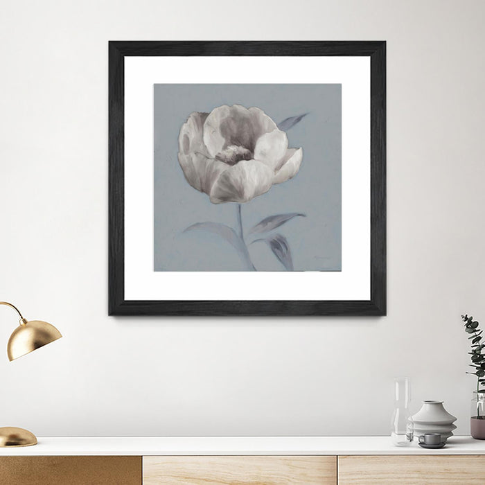 Œuvre d’art murale encadrée noire et mate « Floral Symposium I » 30 x 30
