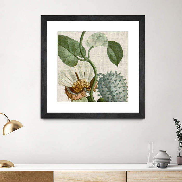 Œuvre d’art murale encadrée noire et mate « Cropped Turpin Tropicals Ii » 36 x 36
