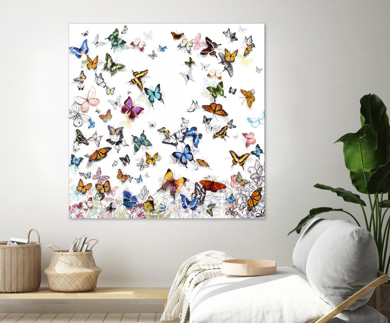 Œuvre d’art murale Giant Art « Papillon » 72 x 72