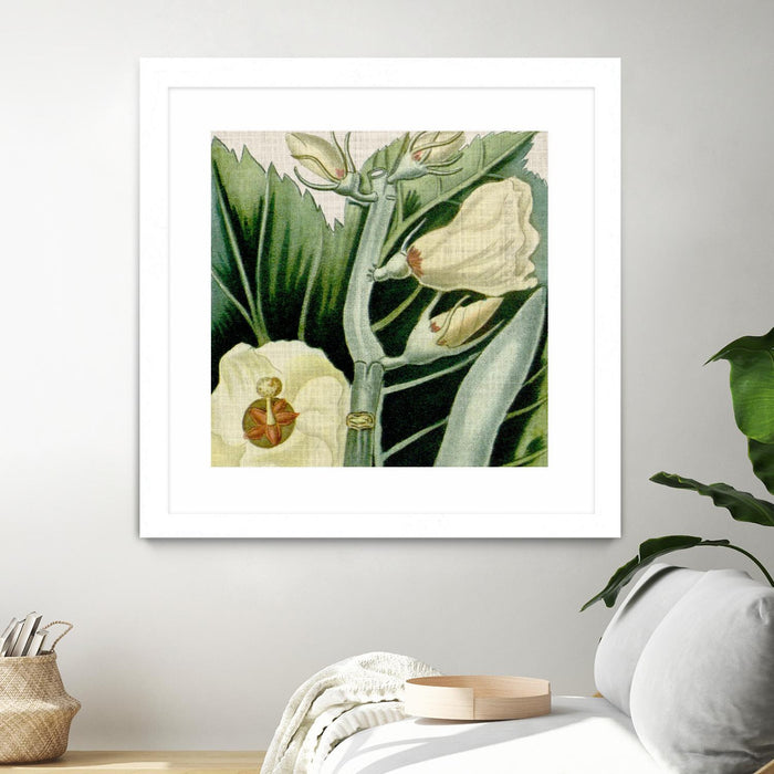 Œuvre d’art murale encadrée blanche et mate « Cropped Turpin Tropicals Iii » 30 x 30