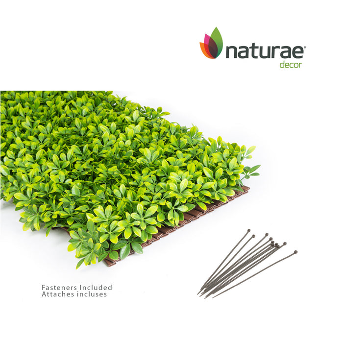 Treillis de PVC extensible 36 po x 72 po avec feuilles de schefflera
