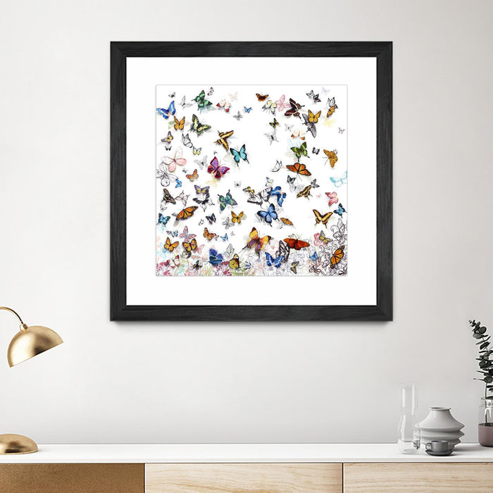 Œuvre d’art murale encadrée noire et mate « Papillon » 30 x 30