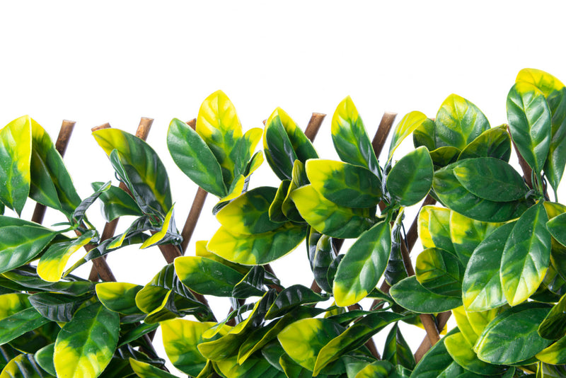 Treillis de saule extensible 36 po x 72 po avec feuilles de gardénia artificielles