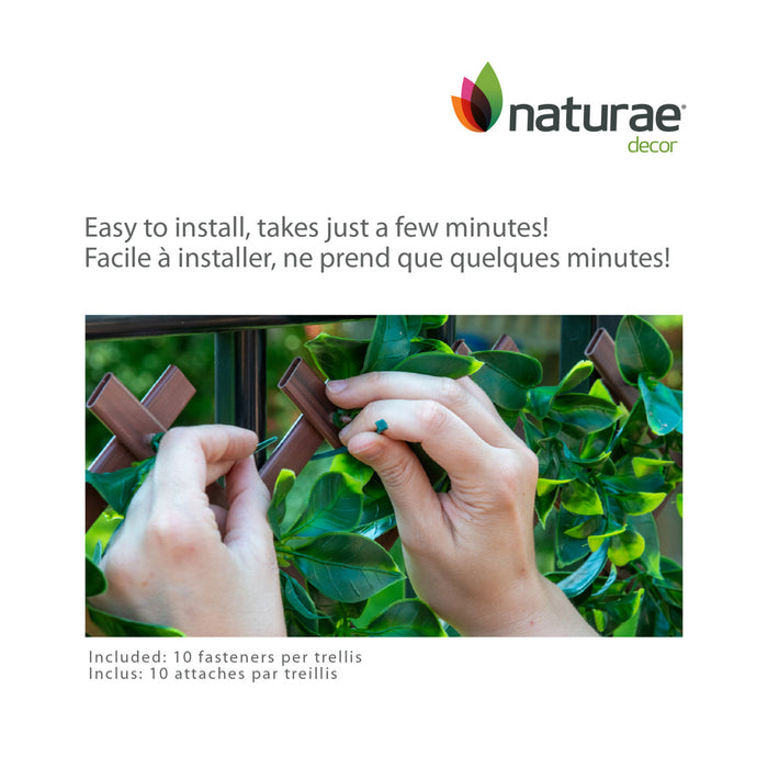 Treillis de PVC extensible 36 po x 72 po avec feuilles de clématite jaunes
