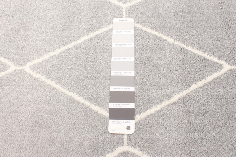 Carpette August griseblanche 5 pi 3 po x 7 pi 3 po