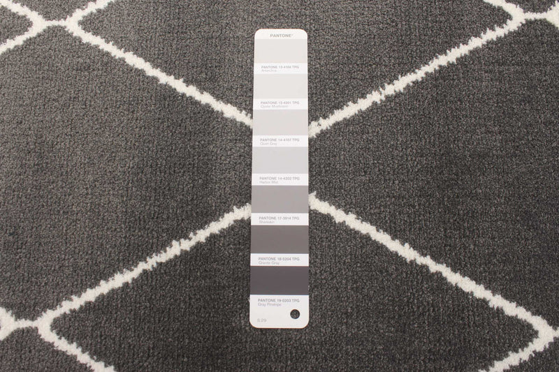 Carpette August gris foncéblanc 5 pi 3 po x 7 pi 3 po