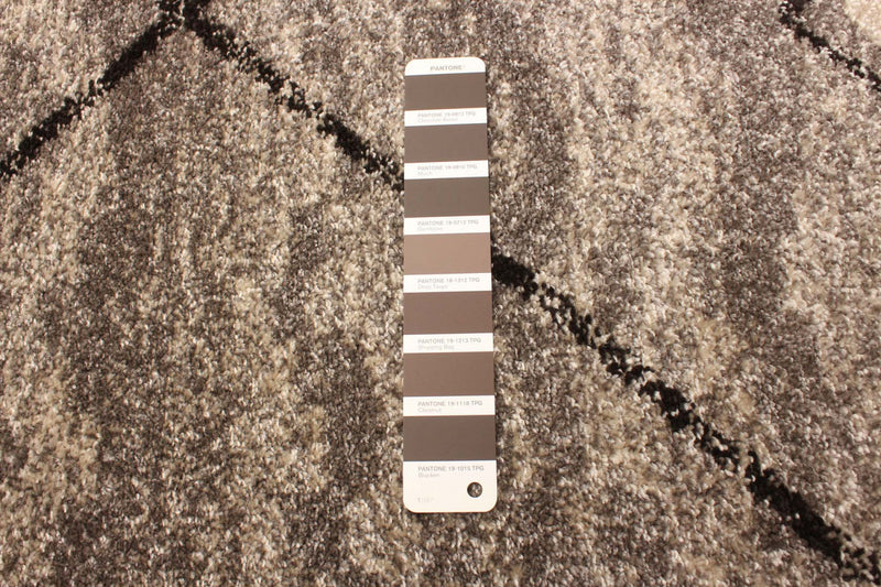 Tapis Grande, gris / brun, 6 pi 7 po X 9 pi 6 po