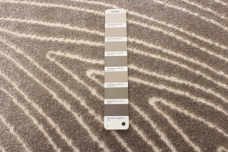 Carpette Lane taupe 3 pi 11 po x 5 pi 7 po