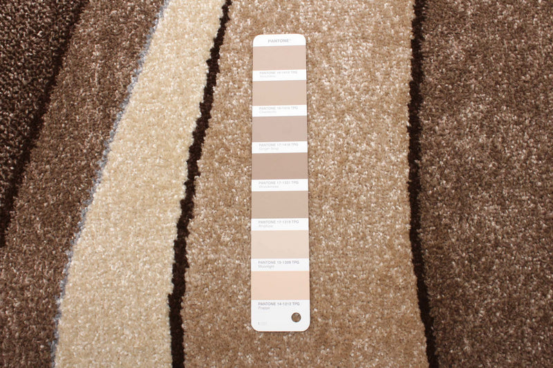 Carpette Branda brun clair - 6 pi 7 po x 9 pi 10 po