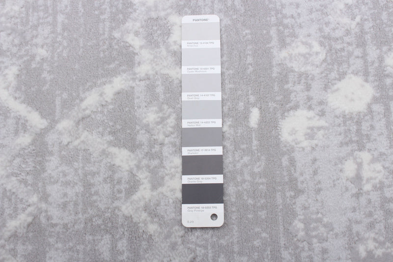 Carpette Dita grise - 3 pi 11 po x 5 pi 7 po