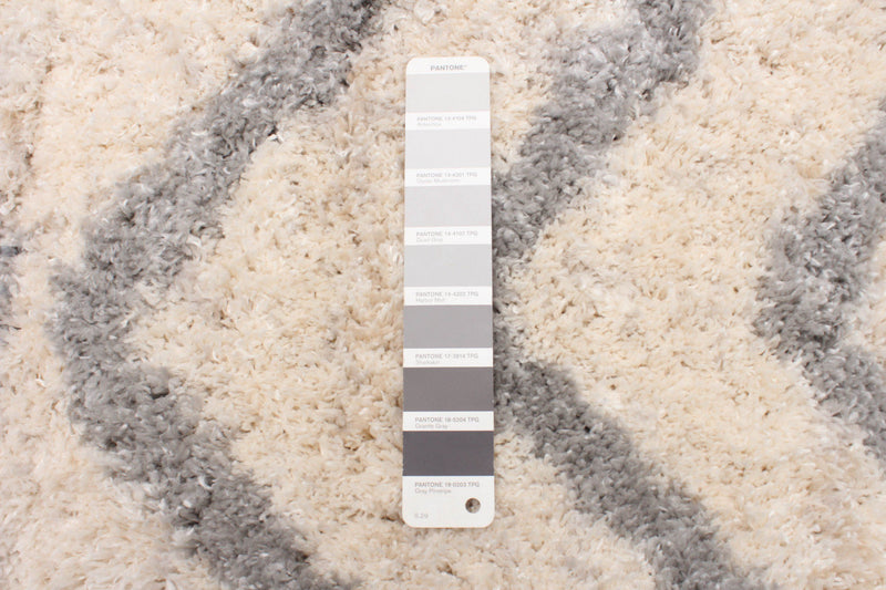 Carpette Miah crème - 3 pi 11 po x 5 pi 7 po