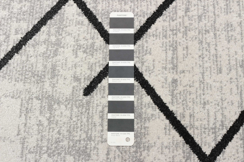 Carpette Damali ivoire et noire lavable à la machine - 2 pi 6 po x 8 pi 0 po