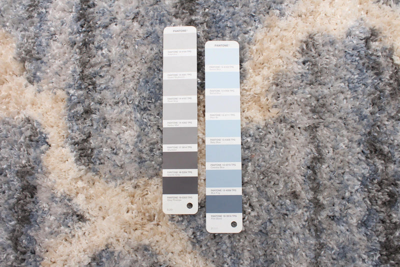  Carpette Dimity grisebleu clair - 5 pi 3 po x 7 pi 3 po