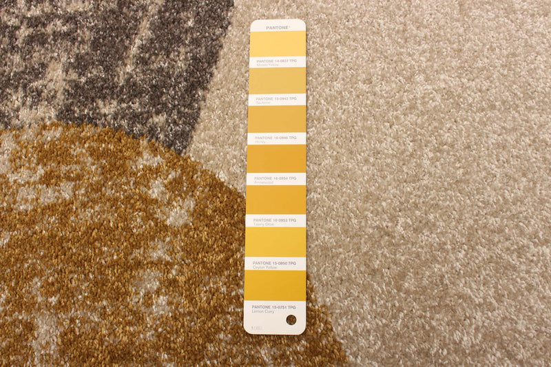 Carpette Ellegance ivoiredoré 6 pi 7 po x 9 pi 6 po