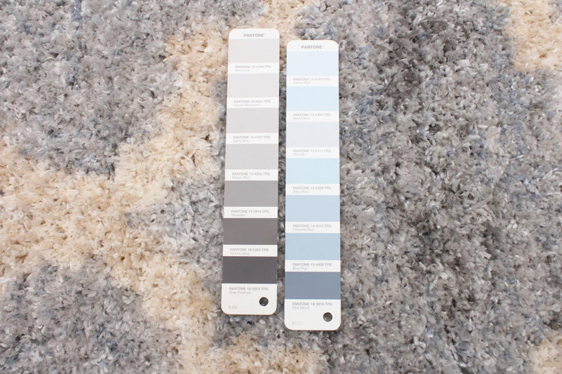  Carpette Dimity grise - 6 pi 7 po x 9 pi 6 po