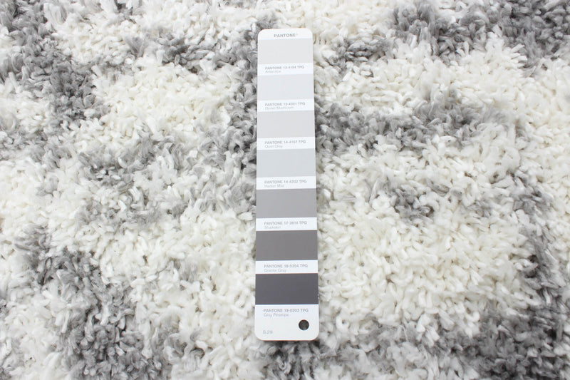 Carpette à poil long Helma Urban gris claircrème 3 pi 11 po x 5 pi 11 po