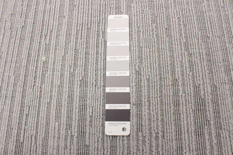 Carpette Eadda grise 3 pi 11 po x 5 pi 7 po