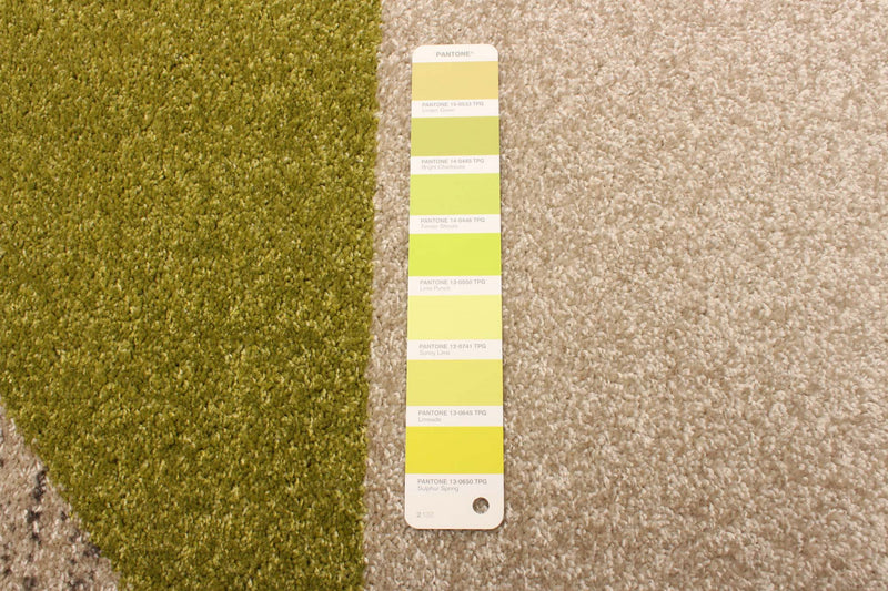 Carpette Hadley grisvert 3 pi 11 po x 5 pi 7 po