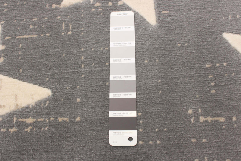 Carpette Ira grise 4 pi 7 po x 6 pi 7 po