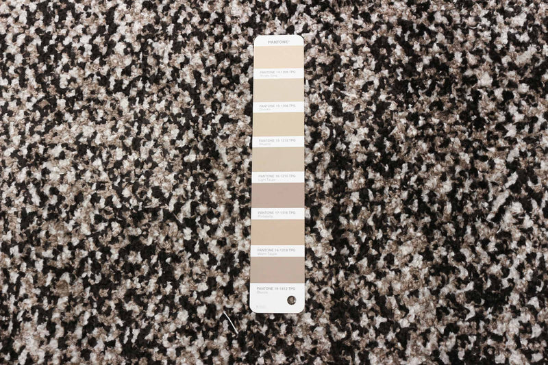  Carpette Vera Earth taupenoire - 7 pi 10 po x 10 pi 5 po