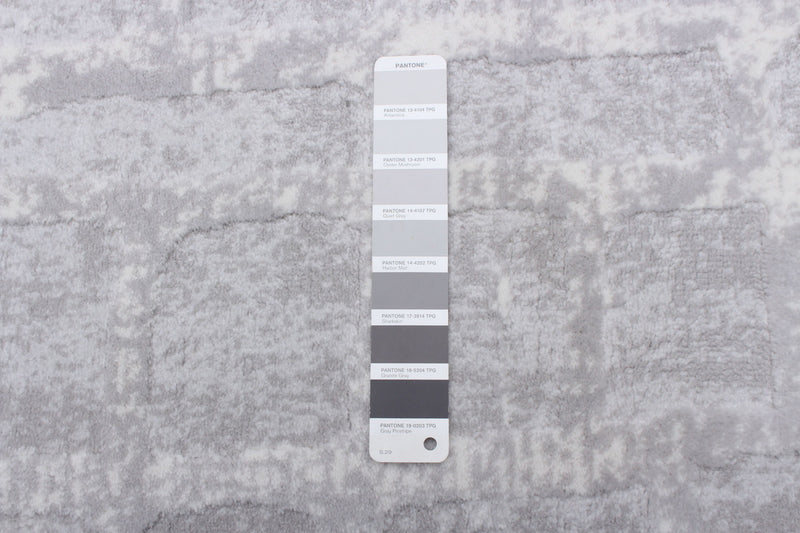 Carpette Jewel gris clair - 3 pi 11 po x 5 pi 7 po