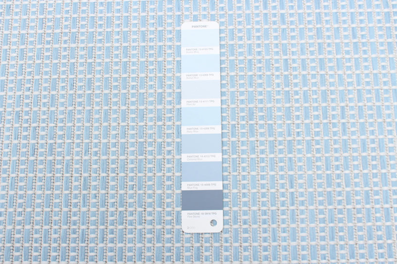 Carpette Neisha Classic bleu clair 6 pi 7 po x 9 pi 6 po