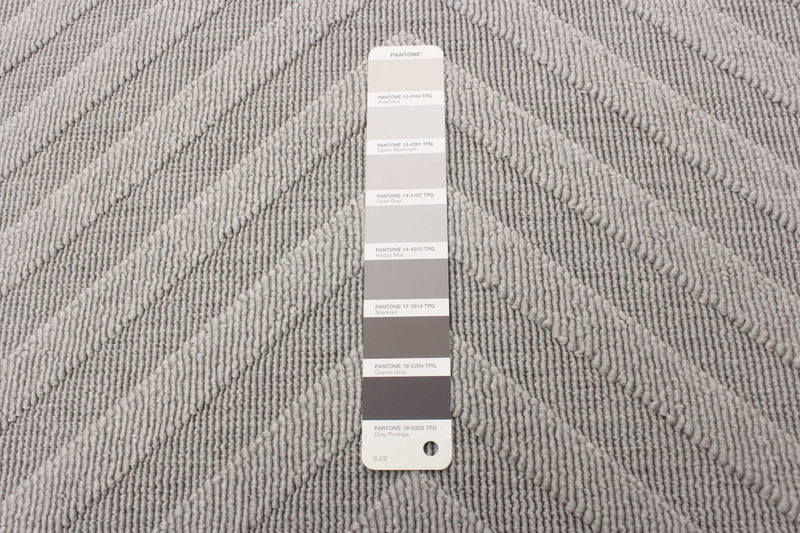 Carpette Dodie grise 6 pi 7 po x 9 pi 6 po