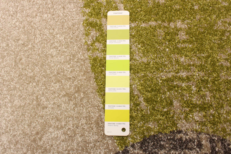 Carpette Ellegance ivoirevert 3 pi 11 po x 5 pi 7 po