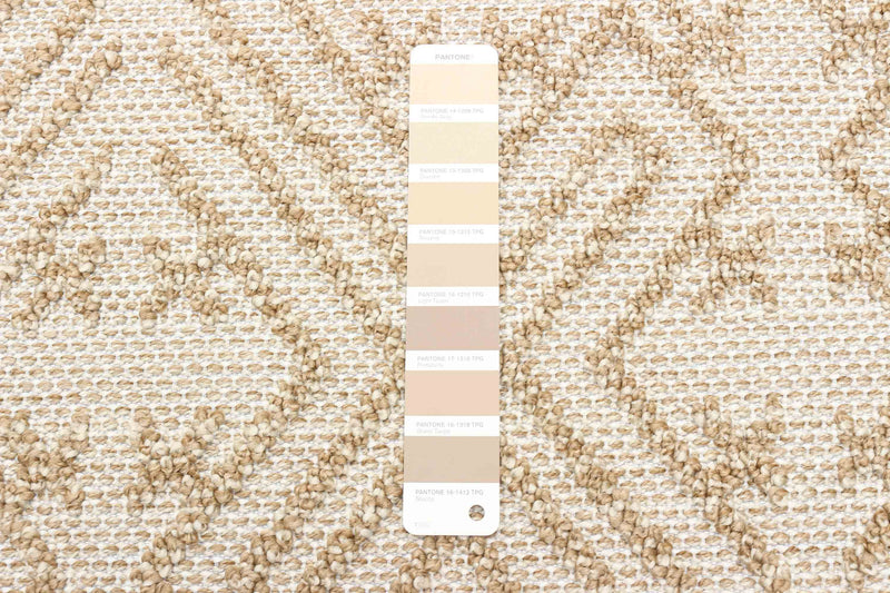 Carpette Penney taupe - 5 pi 0 po x 7 pi 0 po
