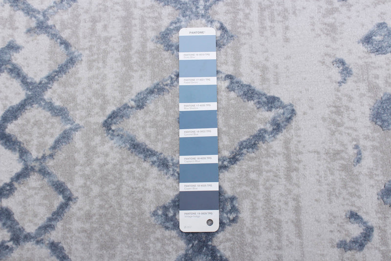 Carpette Dita bleue - 5 pi 3 po x 7 pi 3 po