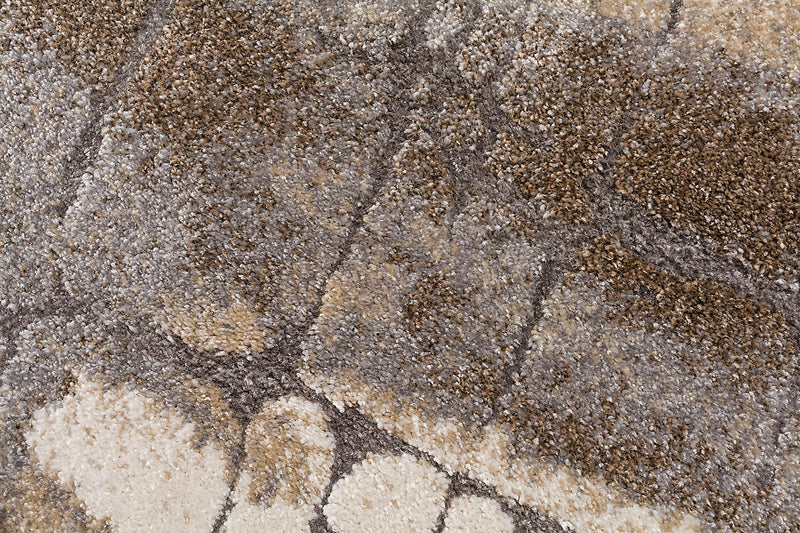 Carpette Ranier Boxholm - 8 pi x 10 pi