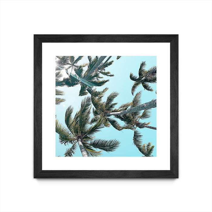 Œuvre d’art murale encadrée noire et mate « Palm 03 » 36 x 36